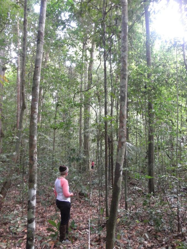 Amazon Lidar