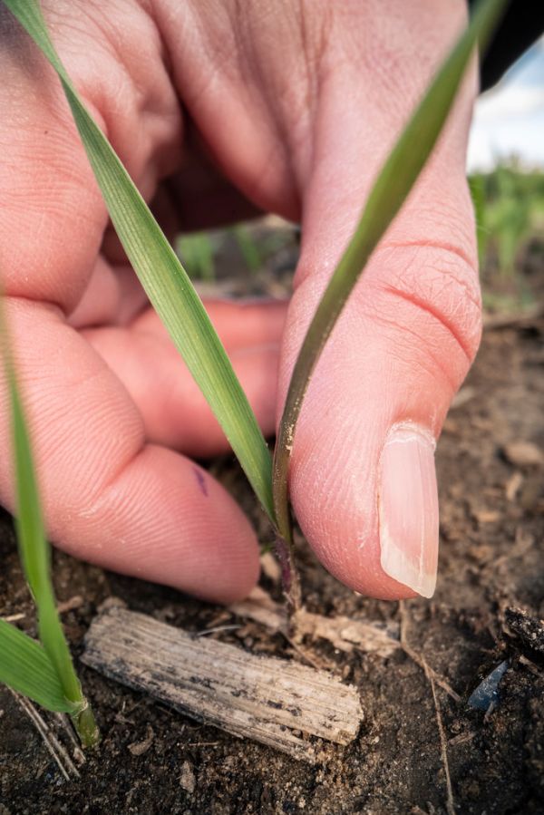 20191018-NRCS-LSC-0541