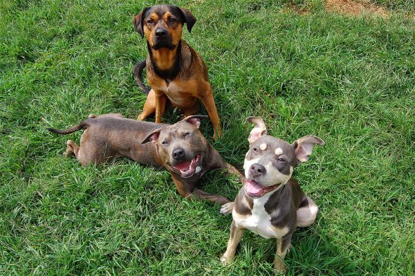 Pitty smiles and nightmares.