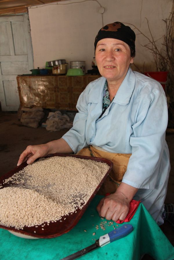 Free trade agriculture farmers in Tajikistan 2011.