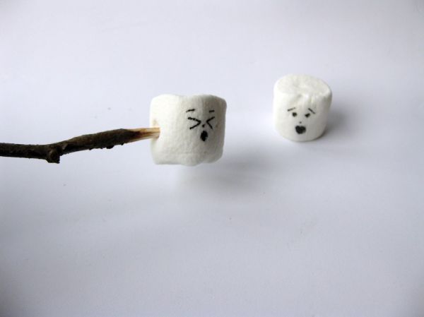 Marshmallow Nightmares!!