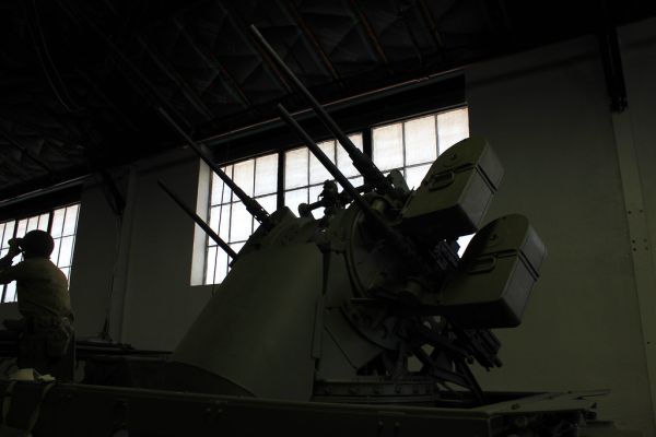 AAA Automatic Wapons Battalion (Self-Propelled)
