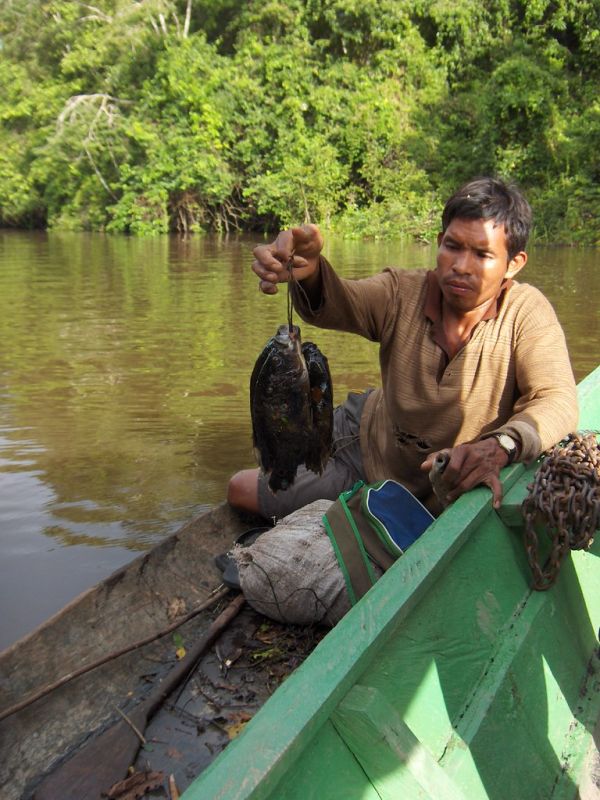 Amazon Fish