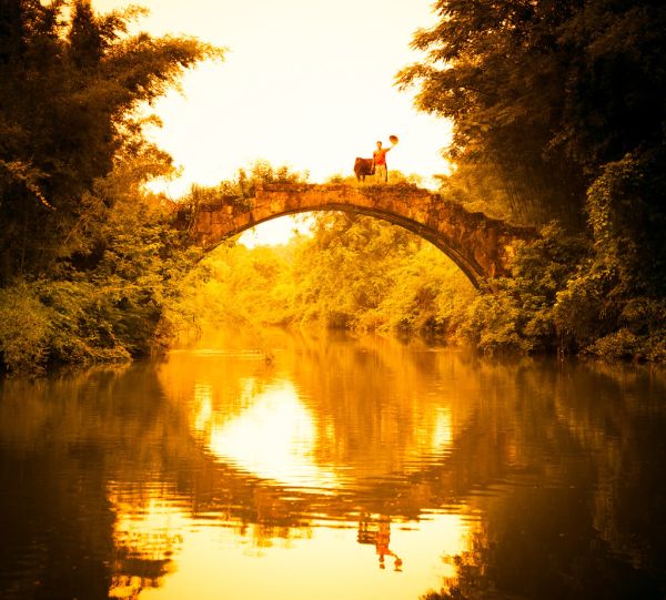 Hello Farmer Friend!