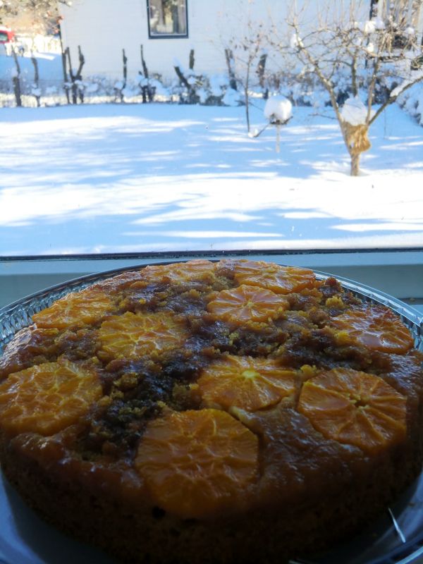 Orange and almond cake with golden syrup