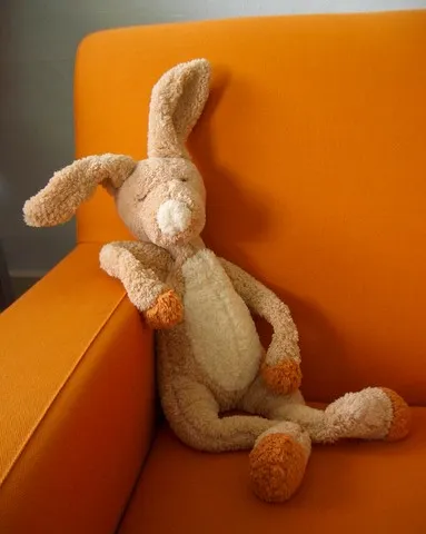 Bruno the Baby Test Bunny