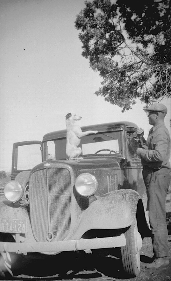 Practicing for Dave Letterman's 'Stupid Pet Tricks'