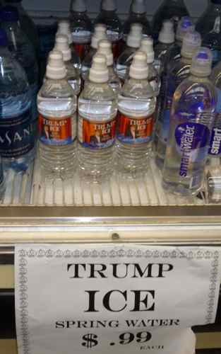 Trump Ice