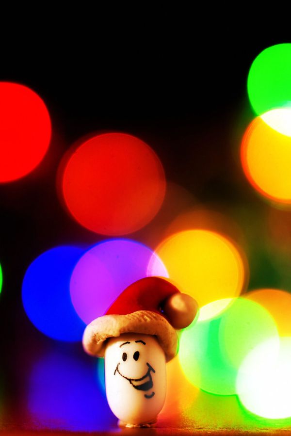 Dave's become a Father...Father Christmas that is :)