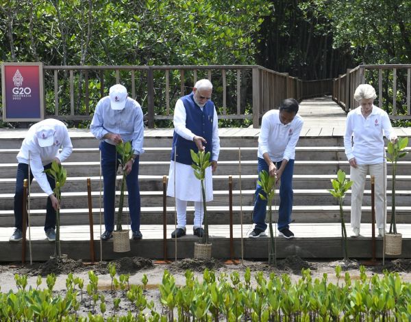 Prime Minister Shri Narendra Modi with other G20 Leaders' planted mangroves at the Taman Hutan Raya Ngurah Rai forests