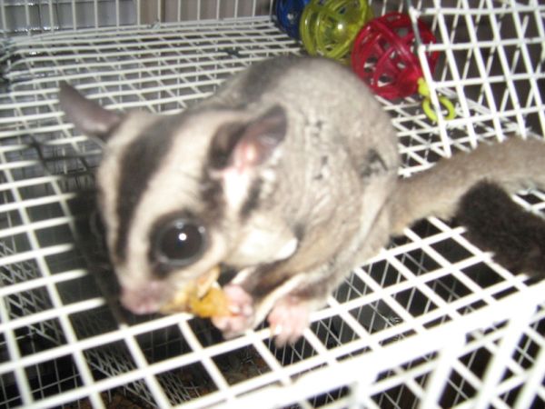 Fw: New order - Already received!