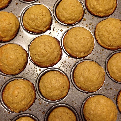 Do you know the (mini)muffin man? #muffins #minimuffins #oatmealmuffins #food #foodporn #foodphotography #nom #yum