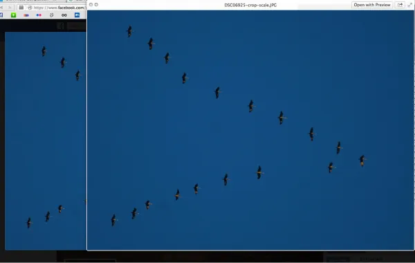 Facebook conversion problem