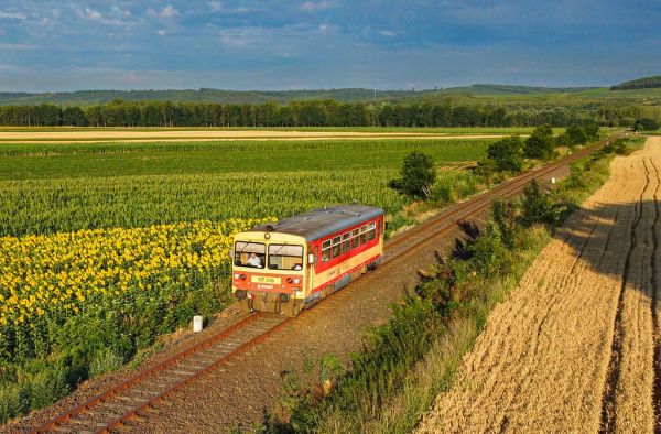 H-Start 117.318 35247 ( Hidasnémeti - Abaújszántó ) személy vonat halad kora reggel Hidasnémeti é