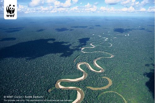 Rio Tamaya meanders through the Amazon lowlands, Ucayali, Peru