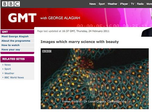 Our work featured on BBC news