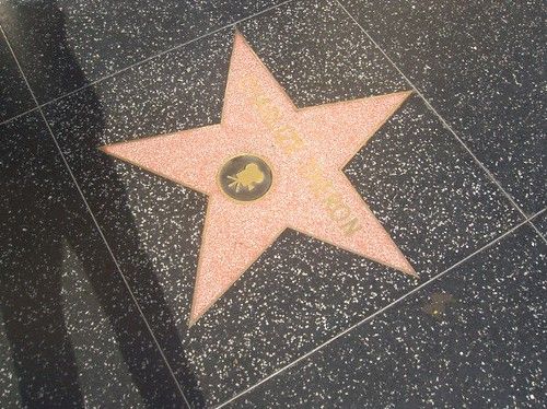 Charlize Therons Star