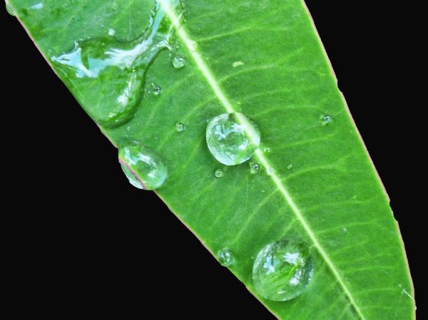 Think of all the beauty still left around you and be happy. .. Anne Frank