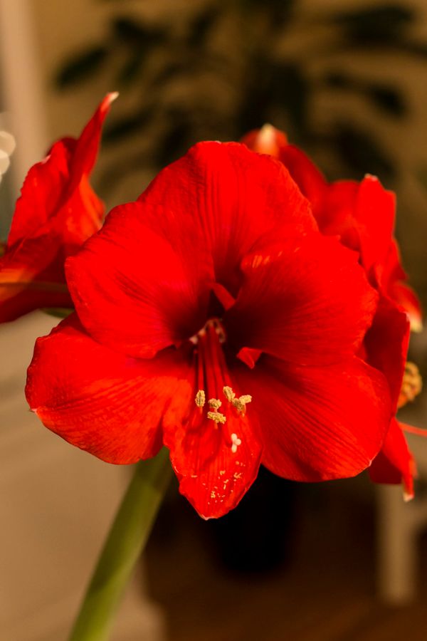 Canon 6D Test IMG 0007