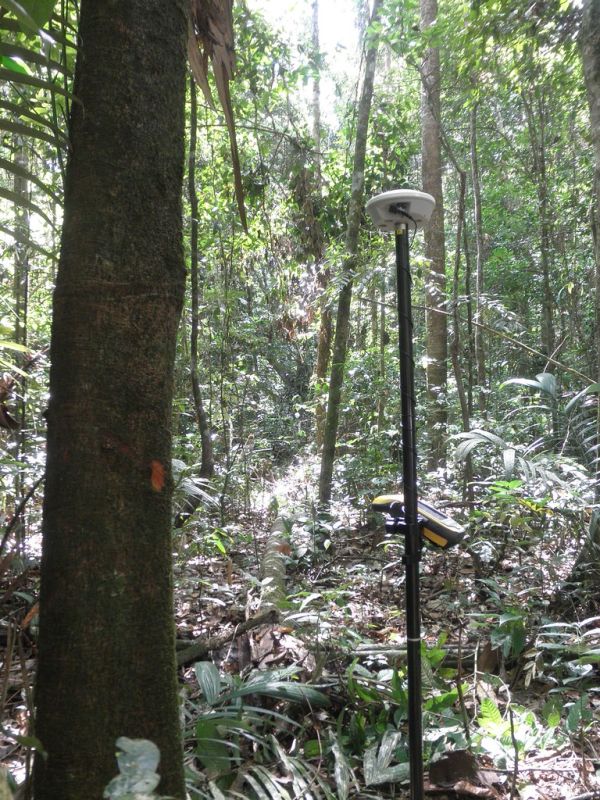 Amazon Lidar
