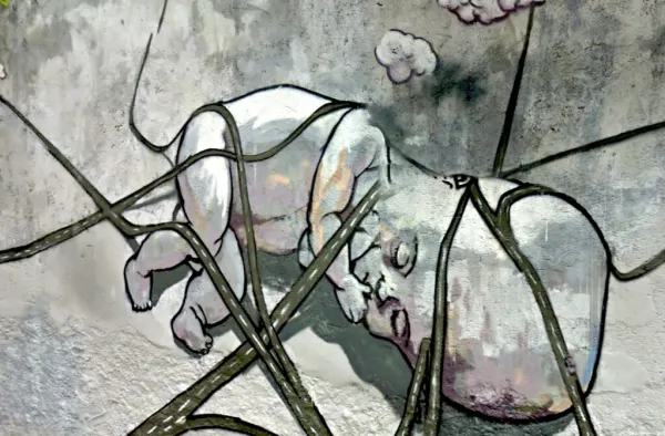 Google Street View - Sao Paulo graffiti