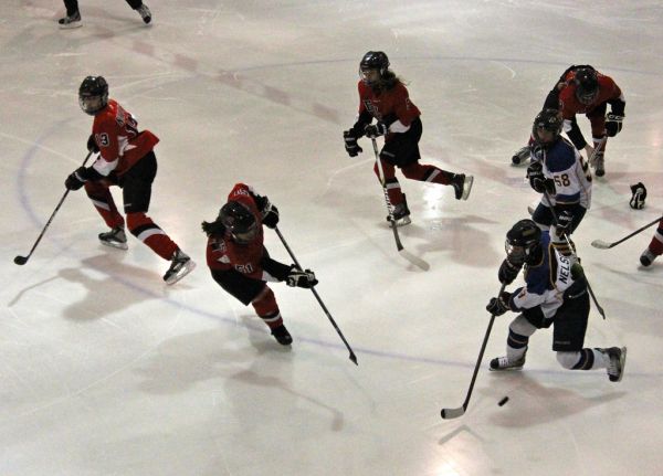 The 2012 Chicago Fury U14 AAA Girls Hockey Team vs Naperville Sabres Boys Pee Wee's in an exhibition game at Rocket Ice Arena in Naperville, Illinois on February 22nd, 2013.