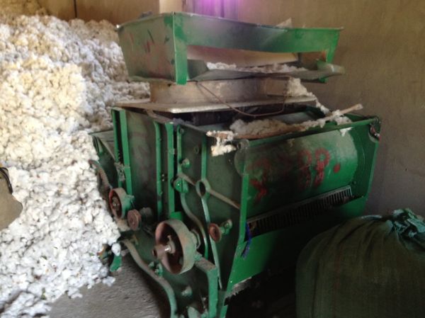 High-yield seeds bring hope on poverty and environment issues in Tajikistan