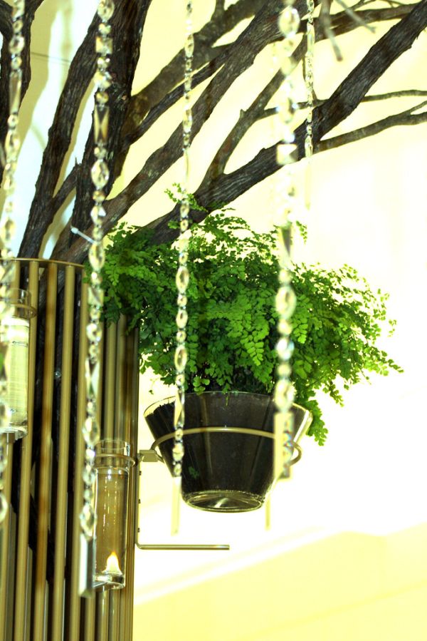 David Jones Fashion Ambassador Miranda Kerr in store book signing, Kora Organics