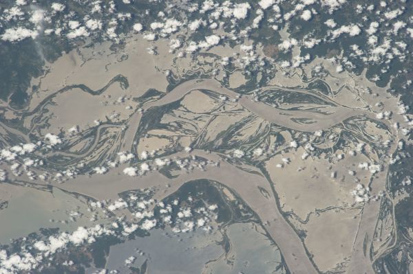 Amazon River Floodplain