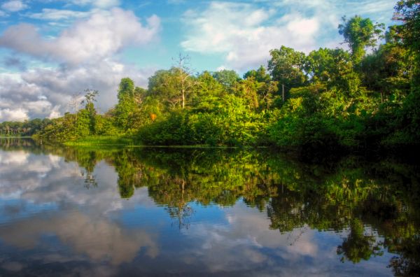 amazon river reflectons