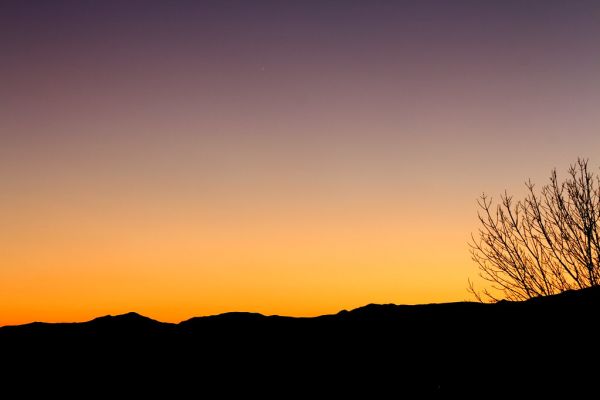 Venus and Mercury, Jan 2 2015