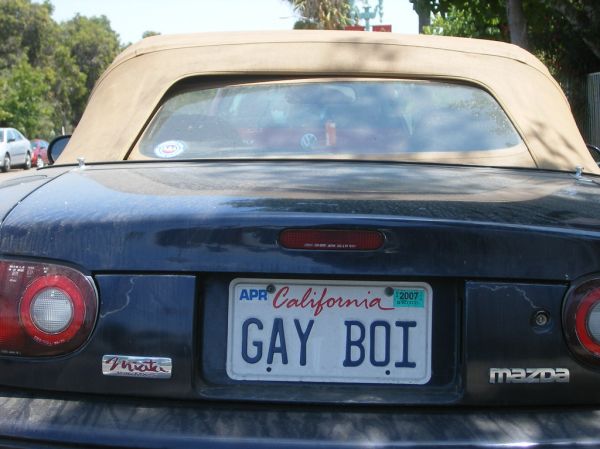 Gay Boi