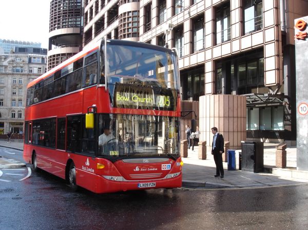 The New Order on the 205