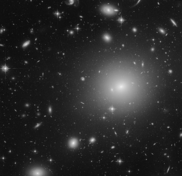 Galaxies in the Shapley Supercluster