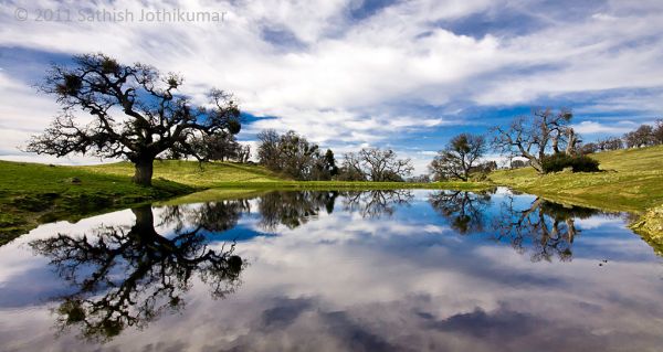 Reflections in Johnnys Pond