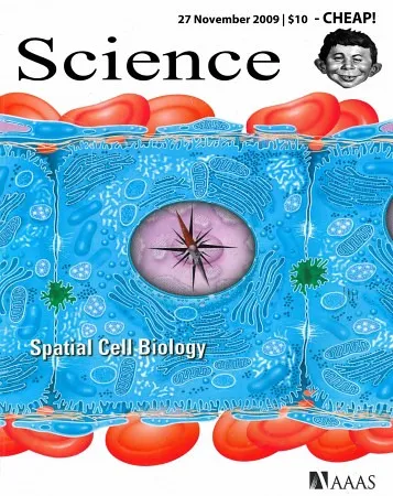 AAAS Dumbs Down Science