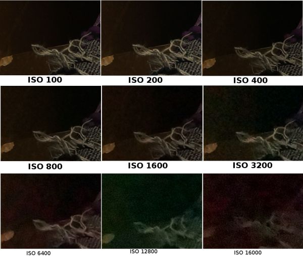 ISO Test Sony SLT a37