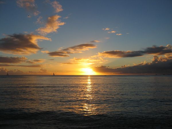 SKY for New Year's card