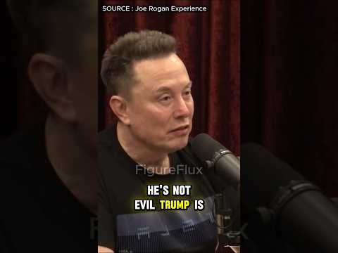 Elon Musk : "Trump is Not Evil"