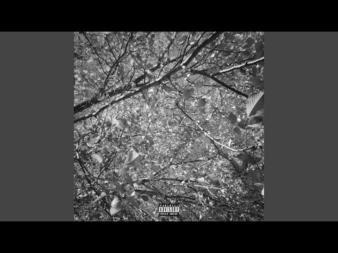 Roots (Never Change)