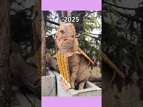 Evolution of Famous Cat Memes (Then vs Now) 💔 #memes #legend #shorts #cat