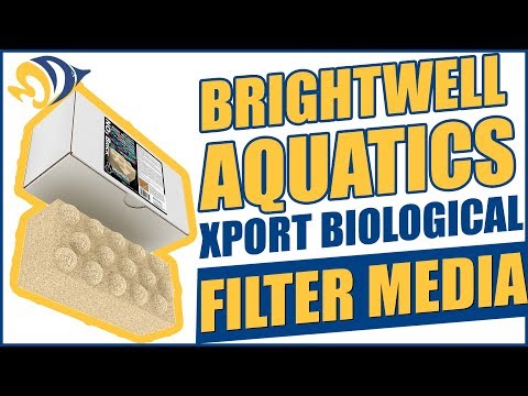 Improve water quality naturally with Brightwell Aquatics Xport Biological Filter Media