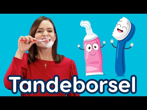Tandeborsel Liedjie | Afrikaanse Liedjies vir Kinders | Opvoedkundige Videos vir Kleuters