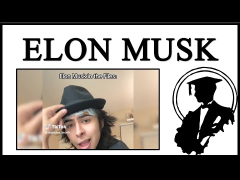 Elon Musk In Epstein Files