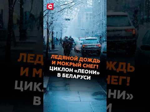 Ледяной дождь и мокрый снег! Циклон «Леони» в Беларуси #беларусь #погода #новости #прогноз #леони