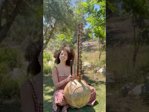 Playing the kora surrounded by nature 🌿 “Mali” feat Toumani Diabaté 💛 #kora #meditationmusic
