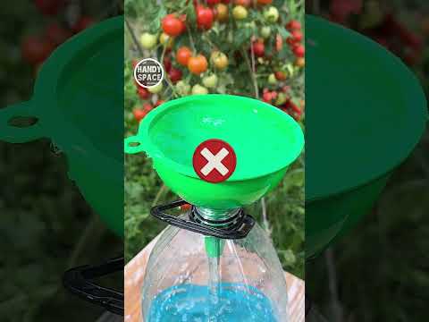 People, This Straw and Funnel Trick Works! #shorts