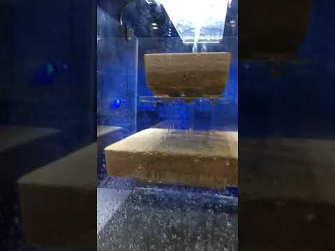 Brightwell Aquatics Xport NO3 Cubes - Ultra-activated Denitrification Filter Media doped wit Reviews