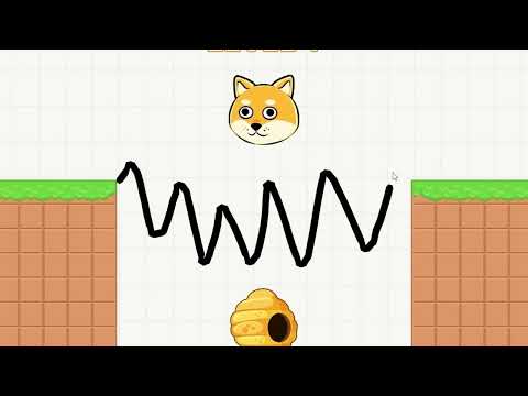 Save The Doge!