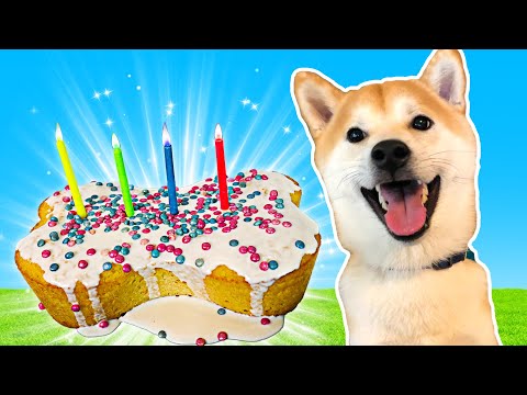 IT'S DOGE'S BIRTHDAY! (Baking a Puppy Cake)
